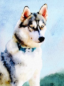 Sibirischer Husky in Aquarell von Atelier Monadikós