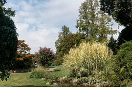 Valentino-Park. Steingarten von Richard Wareham