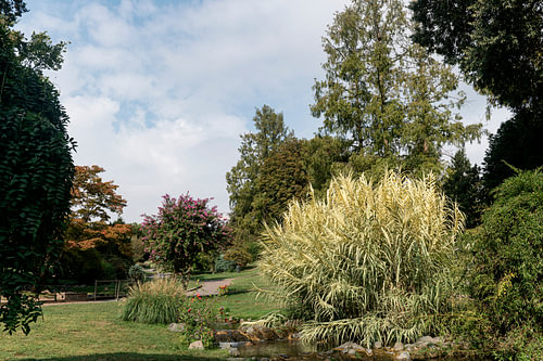 Parc du Valentino. Jardin de rocaille