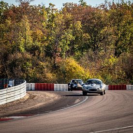 Autumn in Dijon by Mattijs Diepraam