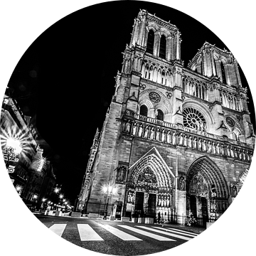 De Notre Dame in de spotlights van Emil Golshani