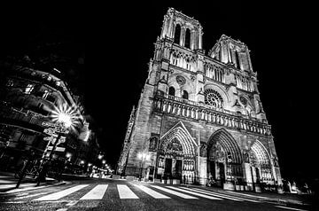 Notre Dame in the spotlight by Emil Golshani