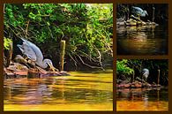 Grey Heron Collage by Dorothy Berry-Lound thumbnail