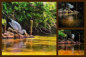 Blauwe Reiger Collage van Dorothy Berry-Lound