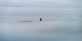 Alone in the fog of Tuscany by Walter G. Allgöwer