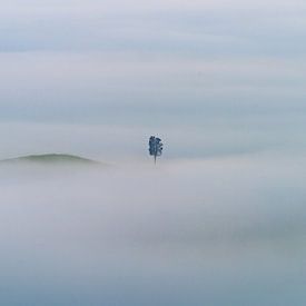 Alone in the fog of Tuscany by Walter G. Allgöwer