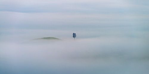 Alleen in de mist van Toscane