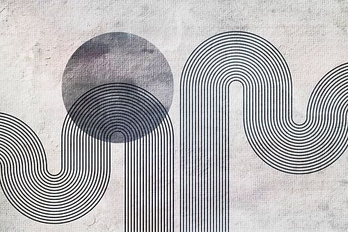 Scandinavië Modern en Abstract Geometrisch Organisch