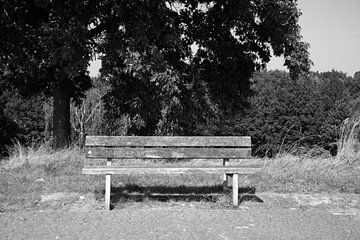 Découvrir la nature dans une zone forestière de l'Emsland, Basse-Saxe, Allemagne sur Bianca Meyering Fotos - BMF