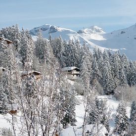 Schweizer Wintermorgen von Felix wellink