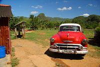 Rode Oldtimer Vinales-vallei Cuba