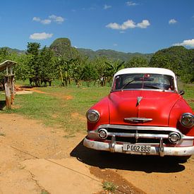Rode Oldtimer Vinales-vallei Cuba von Davide Indaco