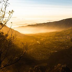 Zonsopkomst Bromo Tenger Vulkaan Indonesië van Jeroen Cox