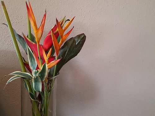 Bloemen tegen de muur.