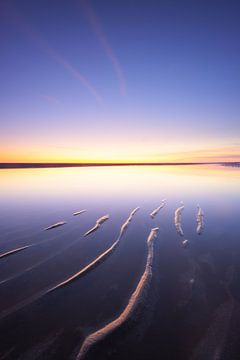 Line play on the beach and in the sky with shades of lilac
