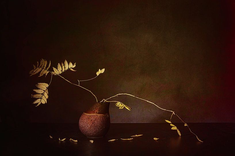 Still life with white tones by Saskia Dingemans Awarded Photographer