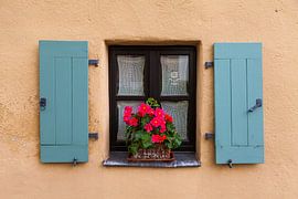 Old window with flowers by Jan Schuler