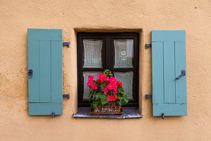 Old window with flowers by Jan Schuler