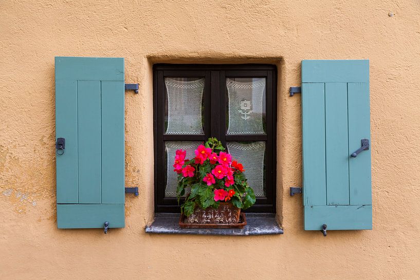 Altes Fenster mit Blumen von Jan Schuler