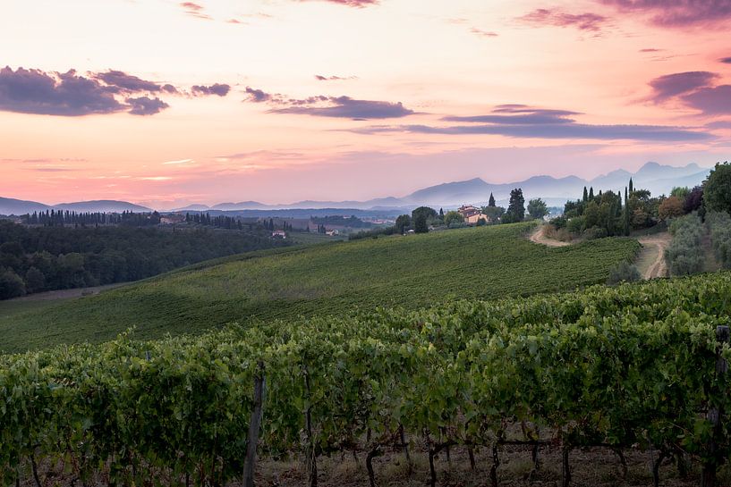 Tuscan landscape by Jelmer Laernoes