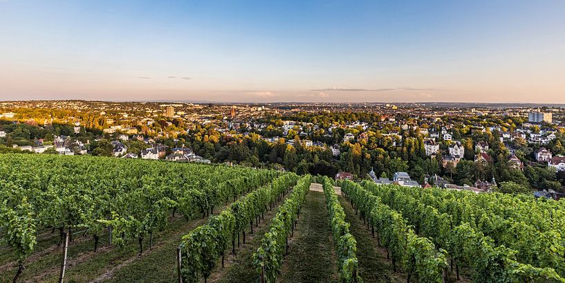 View of Wiesbaden from the Neroberg in the evening light - Hesse by Werner Dieterich