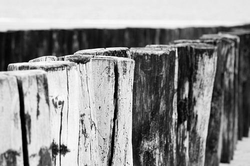 Zeeland, Nederland | Zeeuwse Strandpalen / Paalhoofden in Zwart-wit