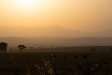 Evening on Africa - The mountains bathed in light by Rick Massar