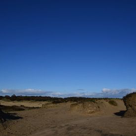 Sand dunes on the Balloërveld