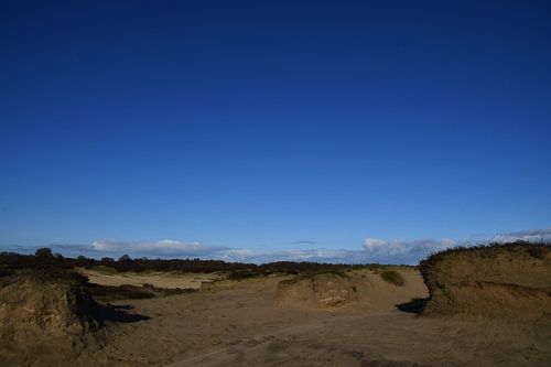 Zandduinen op het Balloërveld