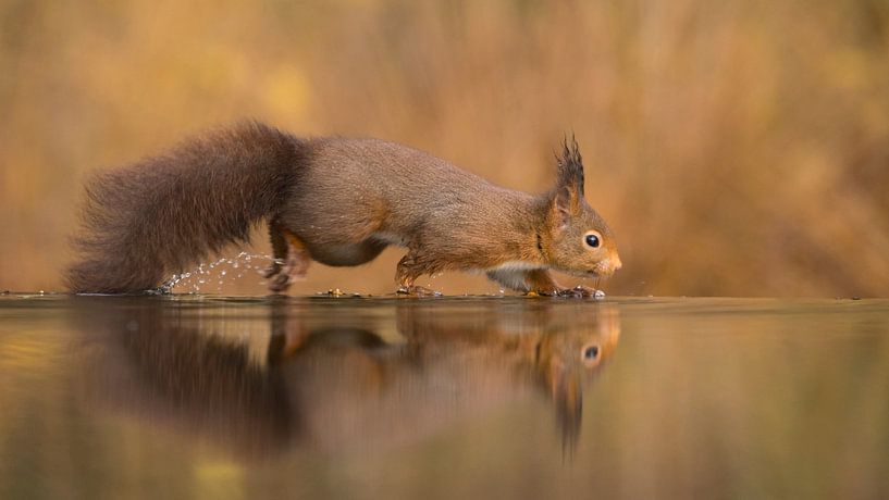 Living on the edge by Jan-Willem Mantel
