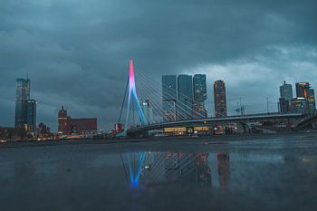 Le pont Erasmus à Rotterdam