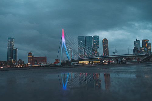 Die Erasmusbrücke in Rotterdam