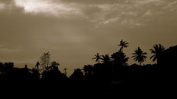 Tropische skyline van palmbomen (Ubud, Bali) van Lugth ART