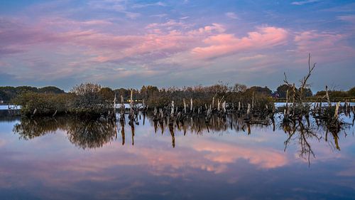 National Park The Alde Feanen near Earnewald (Eernewoude)