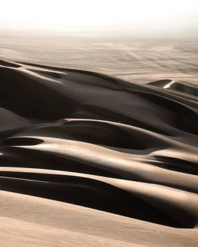 Zand duinen in de Huacachina woestijn/oasis | Peru van Felix Van Leusden