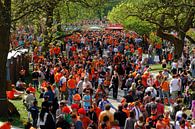 Orangefarbene Menschenmenge im Vondelpark in Amsterdam am Tag der Königin von Merijn van der Vliet Miniaturansicht