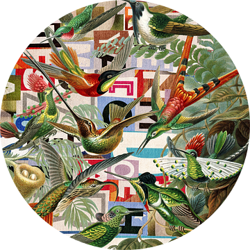 Hummingbirds - Revamped van Marja van den Hurk