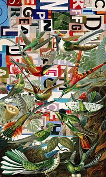 Hummingbirds - Revamped van Marja van den Hurk