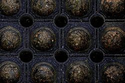 The world at my doorstep