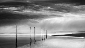 Pfaehle im Wattenmeer-01b