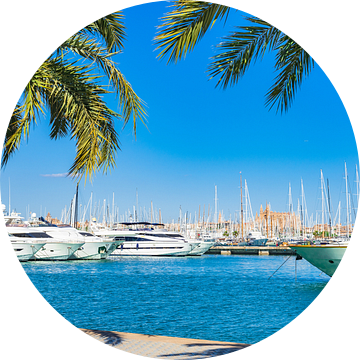 Prachtig uitzicht op de jachthaven in Palma de Mallorca, Spanje