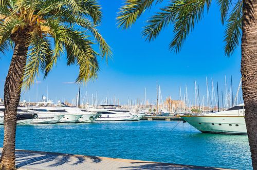 Prachtig uitzicht op de jachthaven in Palma de Mallorca, Spanje