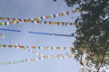 Drapeaux de prière népalais au-dessus des arbres sur Maarten Borsje
