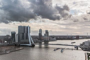 Rotterdam Erasmusbrug van Jarno Dorst