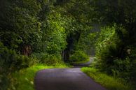Weg op Ardnamurchan (Schotland) van Pascal Raymond Dorland thumbnail