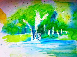 Waldsee von M.A. Ziehr