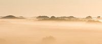 Mistige zonsopkomst  in de duinen van Art Wittingen thumbnail