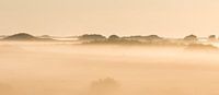 Mistige zonsopkomst  in de duinen