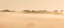 Mistige zonsopkomst  in de duinen by Art Wittingen