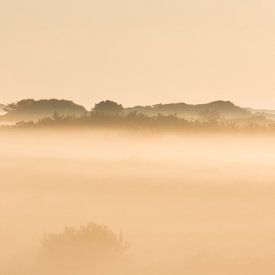 Mistige zonsopkomst  in de duinen van Art Wittingen